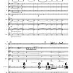 25-Remembrance Optimized P16