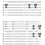 Bayou Reflections SCORE P15